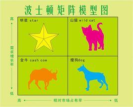 波斯頓矩陣 波斯頓矩陣