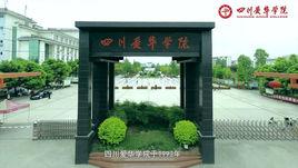 四川愛華學院 四川愛華學院