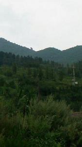 廟子溝蒙古族滿族鄉 廟子溝蒙古族滿族鄉