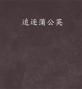 追逐蒲公英 追逐蒲公英