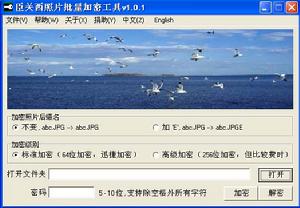 照片批量加密工具