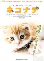 小貓奇緣 小貓奇緣