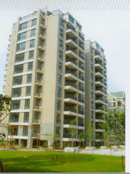 南湖麗景 南湖麗景