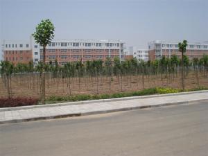 梅蘭竹菊四寢遠景