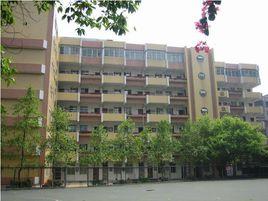 環市西路國小 環市西路國小