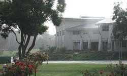 卡里布大學學院