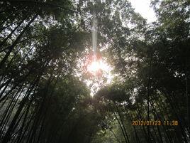 望夫石山風景區 望夫石山風景區