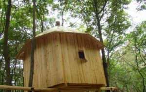 巢湖巢父生態園 巢湖巢父生態園