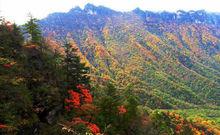 巫山十二峰之上升峰