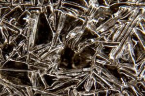 聶勁權[攝影家]