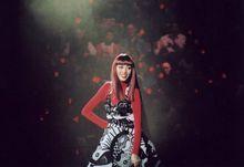 梅艷芳經典金曲演唱會[2004年梅艷芳DVD專輯]