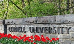 康奈爾大學