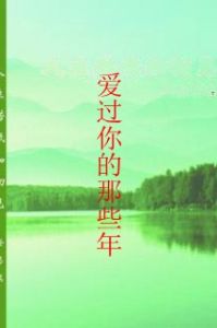 愛過你的那些年 愛過你的那些年