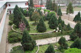 鎮雄縣母享中學 鎮雄縣母享中學