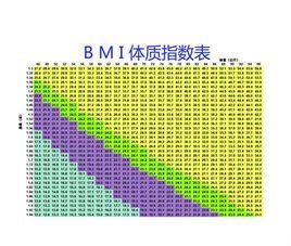 BMI指數