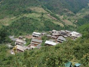 大麥介場村 大麥介場村