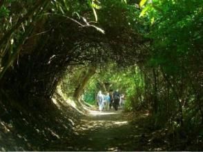 水管路步道 水管路步道