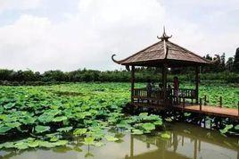 東灣村[安徽肥西縣花崗鎮下轄村]