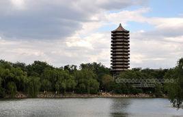 未名湖[北京大學未名湖]