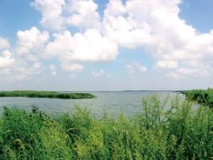 江蘇溱湖濕地公園 江蘇溱湖濕地公園
