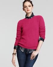 麗莎·坎特 麗莎·坎特