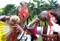 苦扎扎節 苦扎扎節