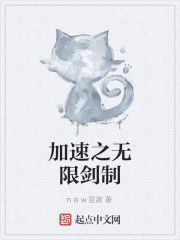 加速之無限劍制