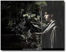 哈蘇國際攝影獎