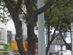 菱塘新村 菱塘新村