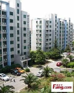 上海陽城 上海陽城