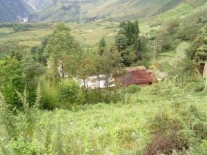 塘房自然村 塘房自然村