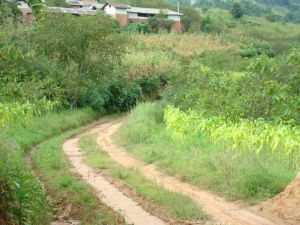 范家坪村 范家坪村