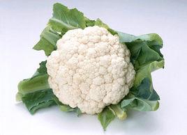 菜花炒蛋 菜花炒蛋