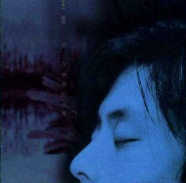 沒有愛哪有恨 沒有愛哪有恨