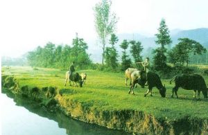 桐柏淮源風景區