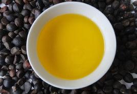 三江茶油 三江茶油