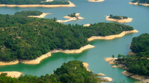 大欖涌水塘 大欖涌水塘