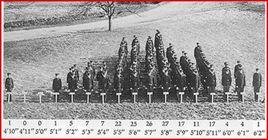 多基因族 多基因族