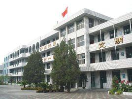 岩頭鎮中心國小 岩頭鎮中心國小