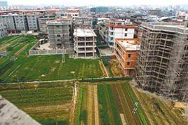 耕地總量動態平衡