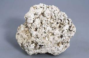 龍涎香[香水的定香劑]