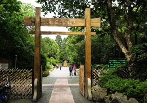 復興島公園 復興島公園