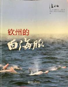 欽州的白海豚 欽州的白海豚