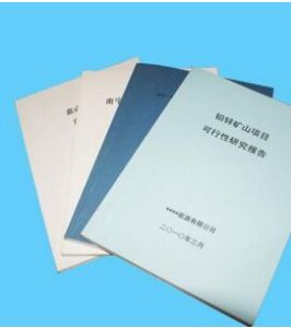 可行性研究報告 可行性研究報告