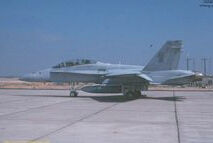 VMA(AW)-121“綠騎士”中隊 F/A-18D