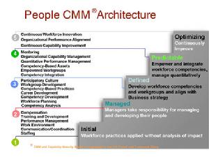 人力資源成熟度模型