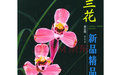 《蘭花新品精品》 《蘭花新品精品》