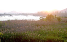 三江濕地公園 三江濕地公園