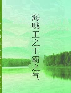 海賊王之王霸之氣 海賊王之王霸之氣