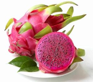 關嶺火龍果 關嶺火龍果